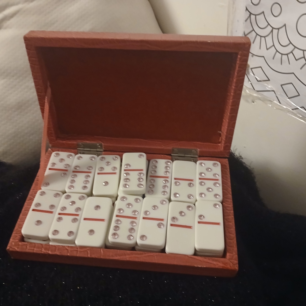 Pink Domino Set with Case - Picture 2 of 3